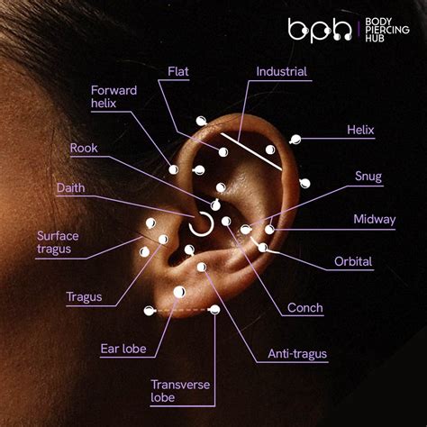 piercings and names|types of body piercings chart.